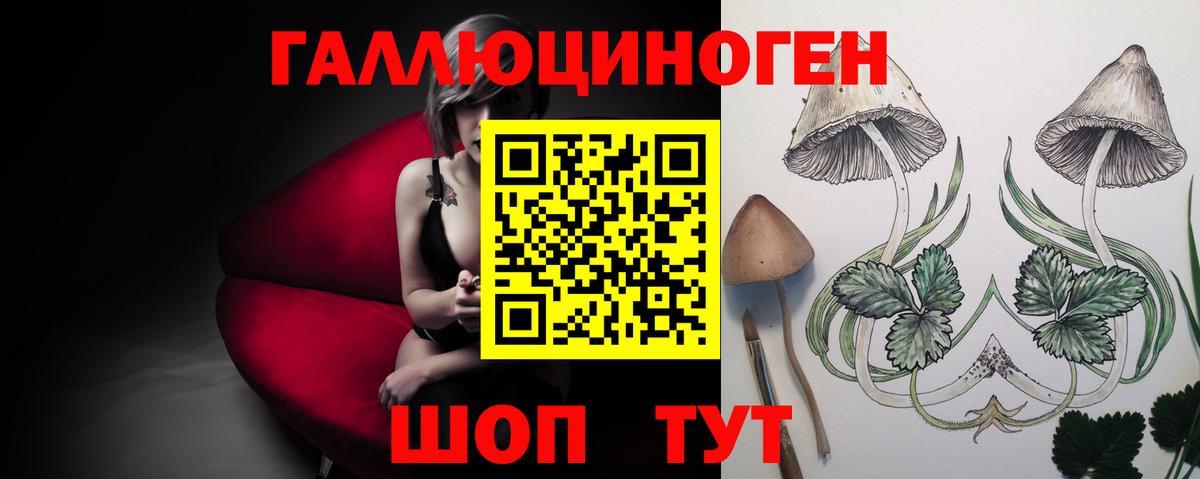 Миасс  Псилоцибиновые грибы Psilocybe  Псилоцибиновые грибы прущие грибы  цена   Вход с VPN 